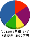 長谷川電機商会 貸借対照表 2012年8月期