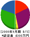 齋藤建設 貸借対照表 2008年9月期 齋藤建設 貸借対照表 2008年9月期