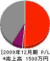 平田組 損益計算書 2009年12月期