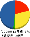 松沢建設 貸借対照表 2008年12月期