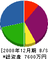ビルテックス 貸借対照表 2008年12月期