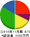 新井ホームサービス 貸借対照表 2010年11月期