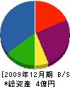 小林産業 貸借対照表 2009年12月期