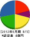 日新工業 貸借対照表 2012年6月期