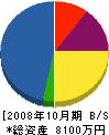 角田塗装 貸借対照表 2008年10月期
