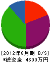 小泉建材店 貸借対照表 2012年8月期