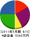 松岡設備 貸借対照表 2011年5月期