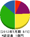 巳ノ瀬建設工業 貸借対照表 2012年5月期
