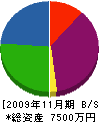 八巻商店 貸借対照表 2009年11月期