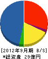 日本体育施設 貸借対照表 2012年9月期