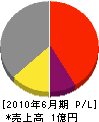 清村塗装工業 損益計算書 2010年6月期