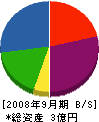 四国シンワサービス 貸借対照表 2008年9月期