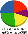 橋本建設 貸借対照表 2012年6月期