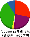 松栄工業 貸借対照表 2008年12月期