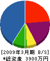 丸勇建設 貸借対照表 2009年3月期