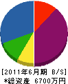 松樹園 貸借対照表 2011年6月期