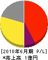 青木建設工業 損益計算書 2010年6月期