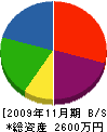 望月塗装 貸借対照表 2009年11月期
