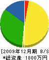 ハマナス電気 貸借対照表 2009年12月期