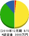 川村鉄工所 貸借対照表 2010年12月期