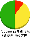 松倉板金店 貸借対照表 2009年12月期