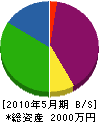 佐藤水道工業所 貸借対照表 2010年5月期