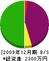 串本建設 貸借対照表 2009年12月期
