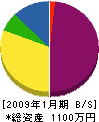 中野サイン 貸借対照表 2009年1月期