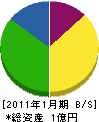 山崎開発 貸借対照表 2011年1月期