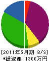 大井川電工 貸借対照表 2011年5月期
