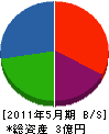 三栄工業 貸借対照表 2011年5月期