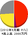 道土井工業 損益計算書 2012年9月期
