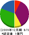 岡崎建設 貸借対照表 2009年12月期