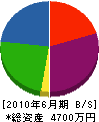 永田創建 貸借対照表 2010年6月期