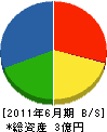 沖縄ニッタン 貸借対照表 2011年6月期