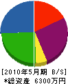 日本地下水工業 貸借対照表 2010年5月期