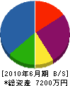 辻村組 貸借対照表 2010年6月期