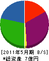 日栄地質測量設計 貸借対照表 2011年5月期
