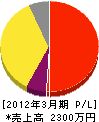 名取川塗装 損益計算書 2012年3月期