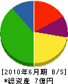 豊田組 貸借対照表 2010年6月期