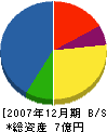 藤田観光工営 貸借対照表 2007年12月期