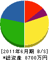 ニチタケ建設 貸借対照表 2011年6月期