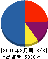 橘＊組 貸借対照表 2010年3月期