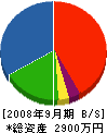 ブロード樋口工業 貸借対照表 2008年9月期
