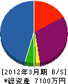 齊藤電気工業 貸借対照表 2012年3月期