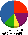 佐藤ポリエチレン商会 貸借対照表 2010年7月期