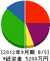 玉井造園 貸借対照表 2012年9月期