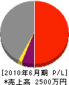 川崎電機 損益計算書 2010年6月期