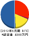 澤木工務店 貸借対照表 2012年6月期