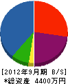 長谷川材木店 貸借対照表 2012年9月期